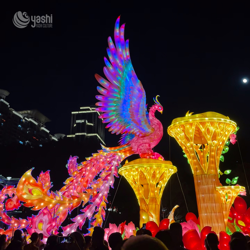 نمایش فانوس های جشنواره فضای باز - فانوس های سنتی سال نو چینی برای نمایشگاه های نور