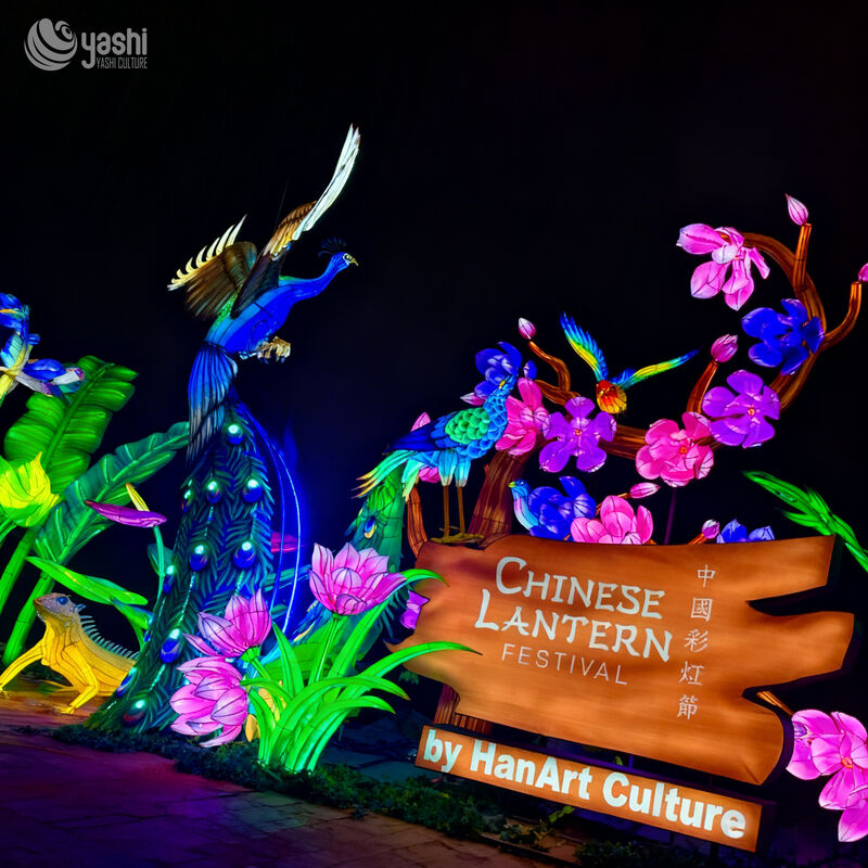 Custom Peacock & Tropical Flower LED Lantern Entrance Display, Chinese Lantern Festival Animal Floral Light Sculpture