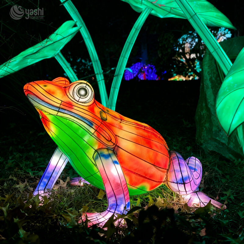 Custom Red‑Eyed Tree Frog Lantern | Realistic Amphibian LED Light Sculpture for Jungle Theme Light Exhibition
