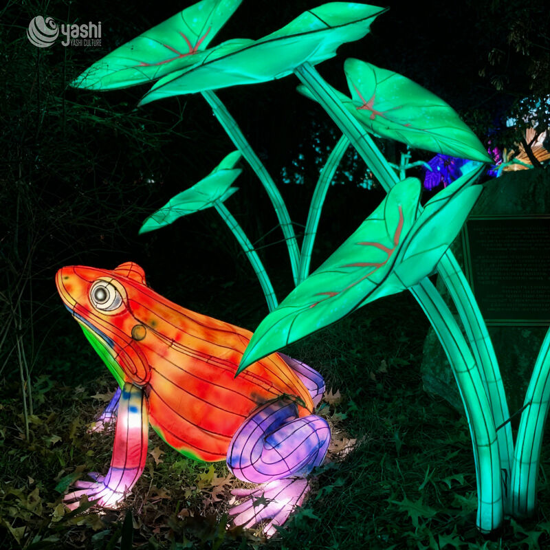 Custom Red‑Eyed Tree Frog Lantern | Realistic Amphibian LED Light Sculpture for Jungle Theme Light Exhibition