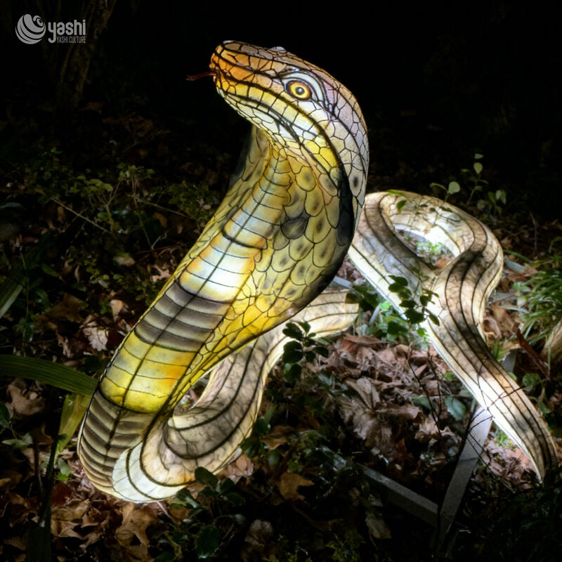 Custom Realistic Cobra Snake LED Lantern, Wild Animal Light Sculpture for Zoo & Jungle Theme Light Festival
