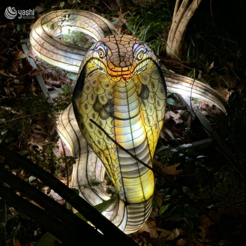 Custom Realistic Cobra Snake LED Lantern, Wild Animal Light Sculpture for Zoo & Jungle Theme Light Festival