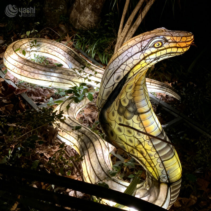 Custom Realistic Cobra Snake LED Lantern, Wild Animal Light Sculpture for Zoo & Jungle Theme Light Festival