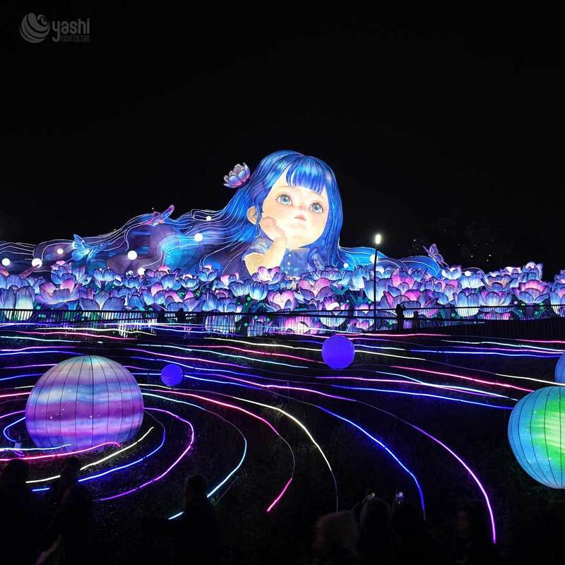 Custom Girl & Lotus Flower Zigong Lantern Scene, Giant Fantasy Character LED Light Sculpture with Lotus Pond, Waterproof Outdoor Dreamy Festival Light Installation