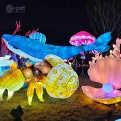 Custom Tropical Fish LED Lantern Set, Under‑Sea Marine Animal Light Sculpture for Aquatic Theme Lantern Festival