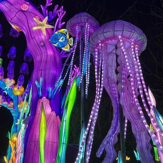 Underwater World Theme LED Lanterns Colorful Lionfish & Tropical Fish Decor for Beach & Aquarium Events