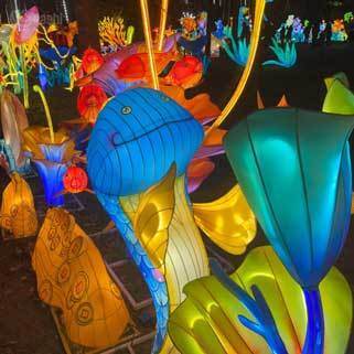Custom Marlin Fish LED Lantern Tunnel Set, Ocean Animal Hanging Light Sculptures for Aquatic‑Theme Night Festival