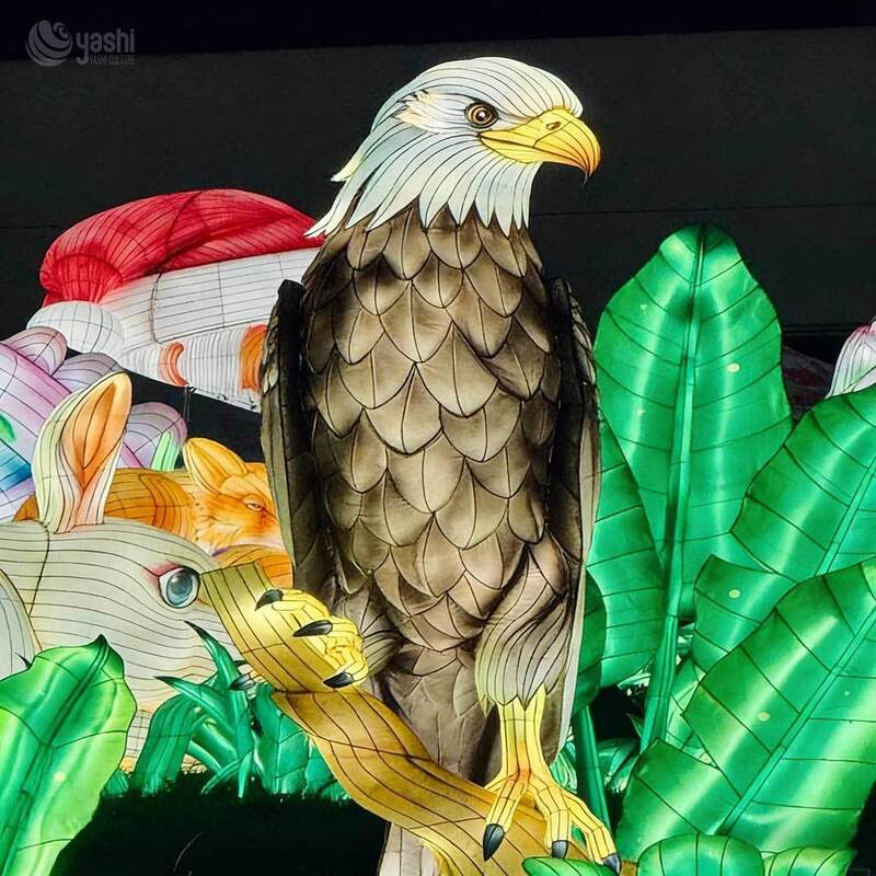 Custom Festival Lighting Animal Sculpture Lantern Eagle LED Light for Outdoor Zoo Park Decoration