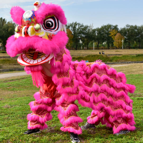 Authentic Chinese Lion Dance Costume Handcrafted Realistic Twin Lion Performance Outfit