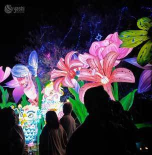 Custom Giant Pink Tulip Lantern Group, Large LED Tulip Flower Light Sculptures for Light Festival Park Display